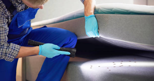 Best Best Pest Control Companies  in North Braddock, PA