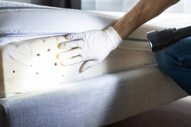 Best Best Pest Control Companies  in North Braddock, PA