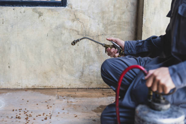 Pest Prevention Services in North Braddock, PA