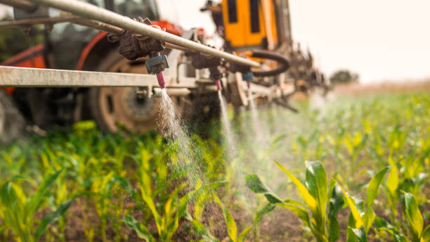 Best Mosquito Control Services  in North Braddock, PA
